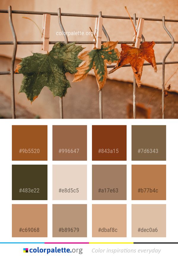 Leaf Branch Plant Color Palette