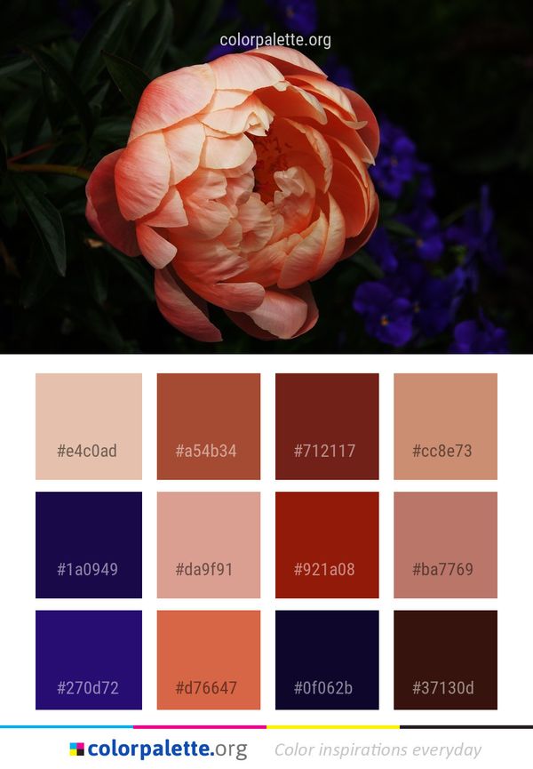 Flower Plant Pink Color Palette
