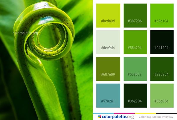Green Close Up Macro Photography Color Palette