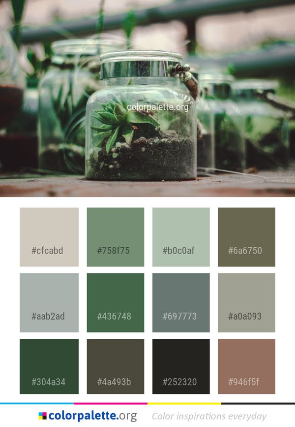 Green Plant Grass Color Palette