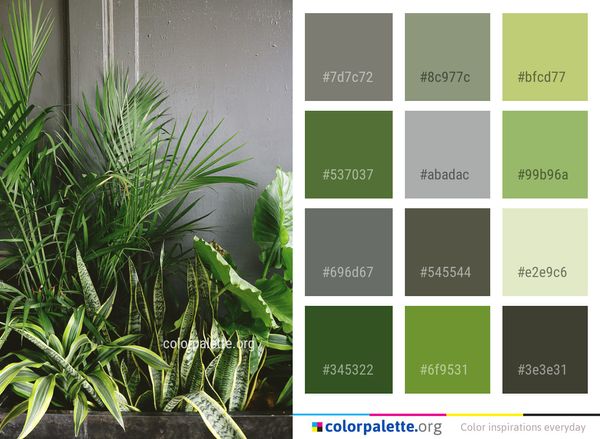 Plant Vegetation Leaf Color Palette
