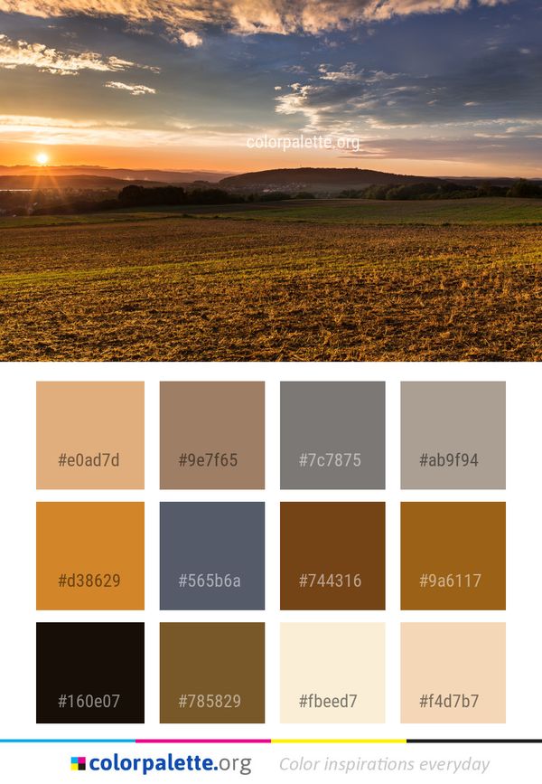 Sky Field Grassland Color Palette