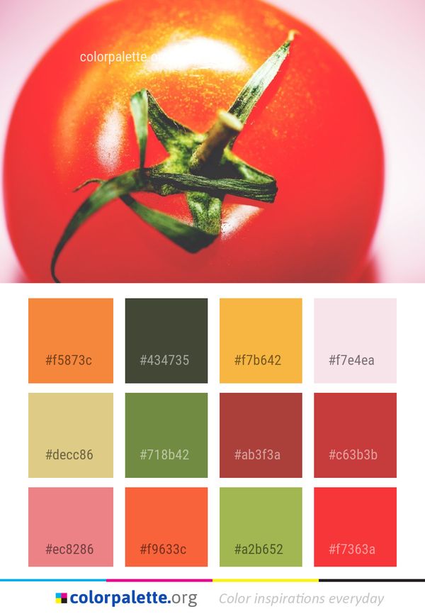 Vegetable Fruit Close Up Color Palette