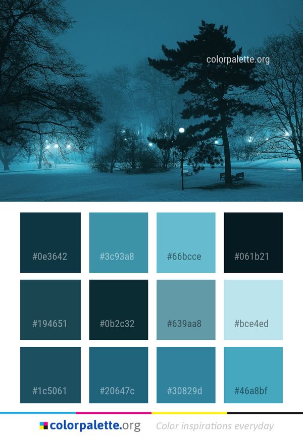 Winter Snow Nature Color Palette