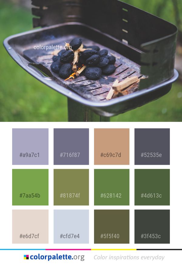 Barbecue Outdoor Grill Grilling Color Palette