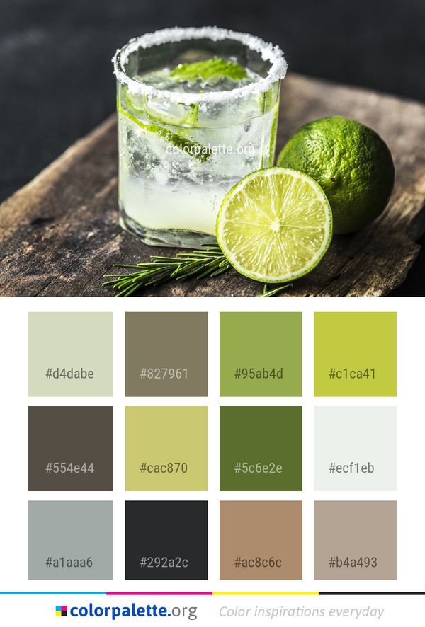 Drink Lime Mojito Color Palette