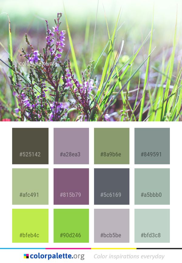 Flora Plant Flower Color Palette