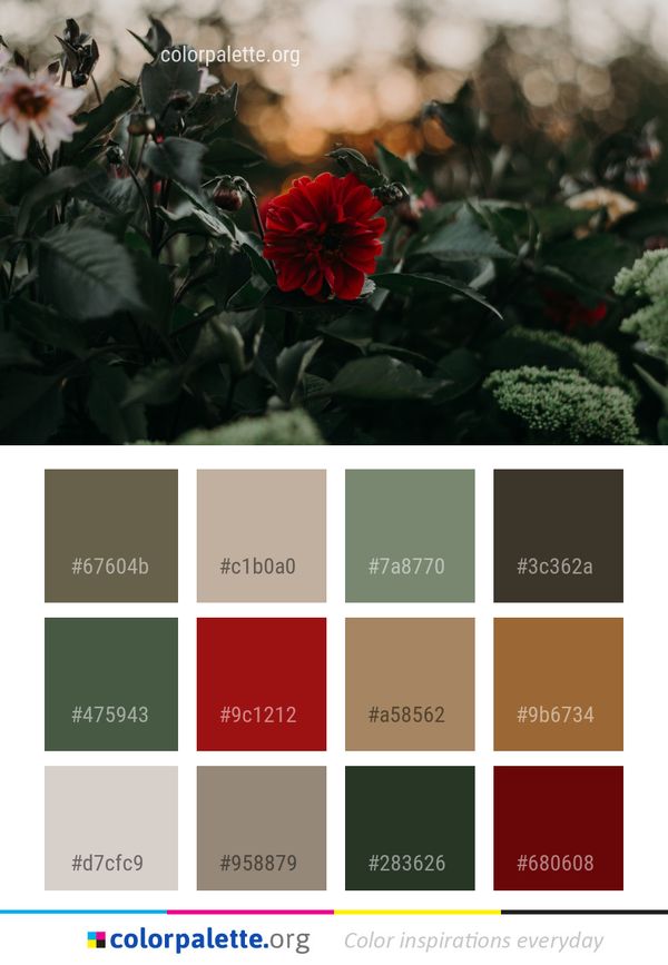 Flower Plant Red Color Palette