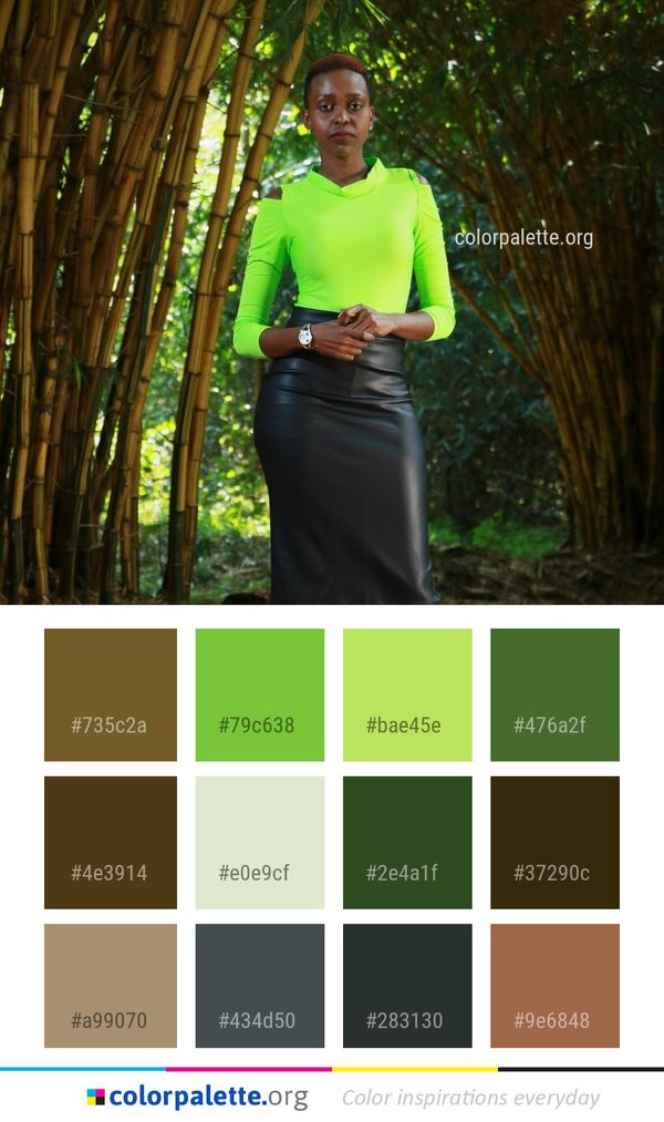 Green Yellow Tree Color Palette