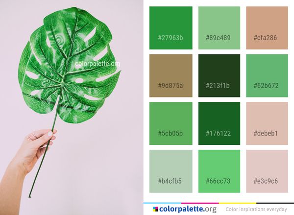 Leaf Green Plant Color Palette