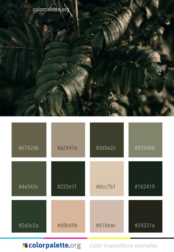 Leaf Vegetation Flora Color Palette