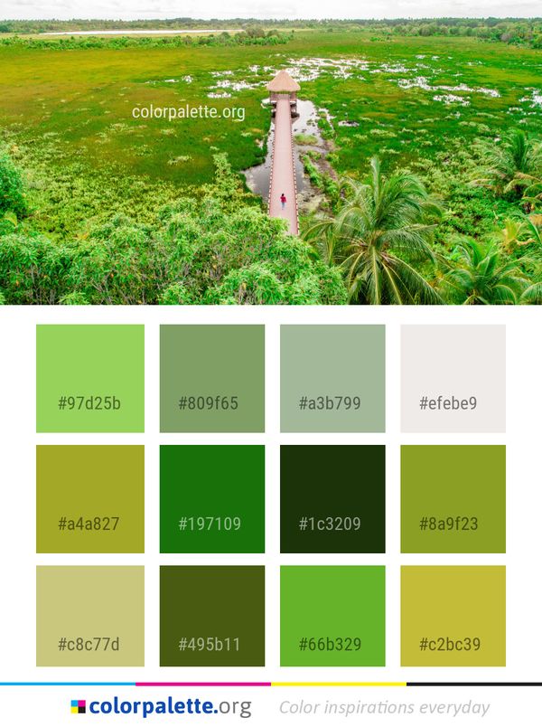 Nature Reserve Water Resources Ecosystem Color Palette