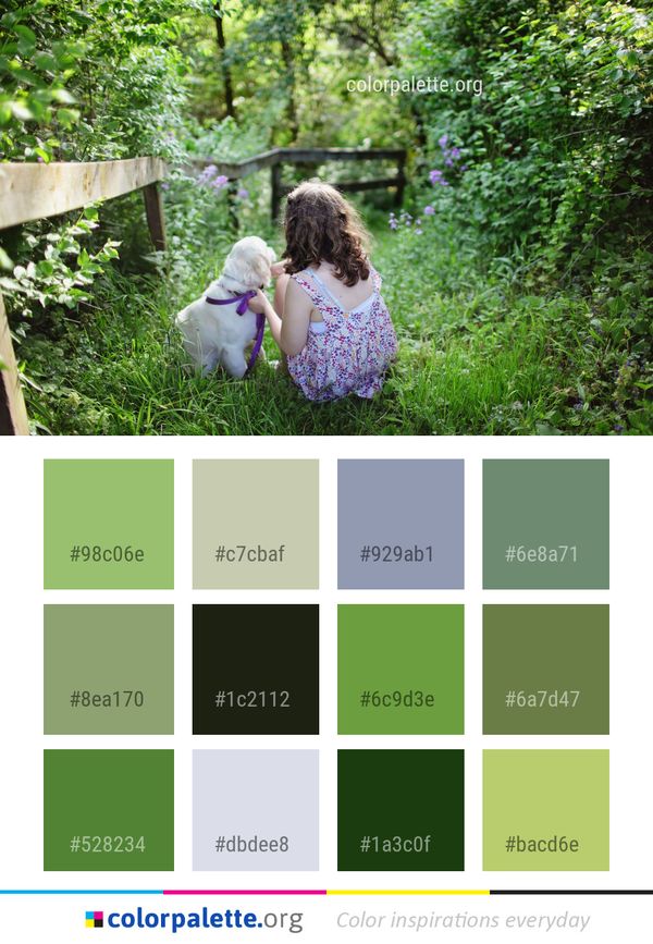 Photograph Green Vertebrate Color Palette