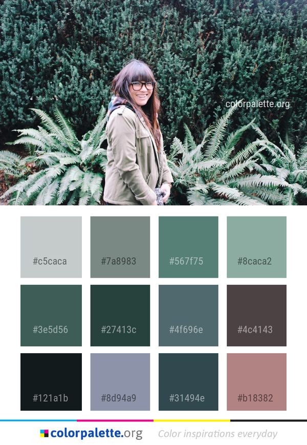 Plant Tree Woody Color Palette