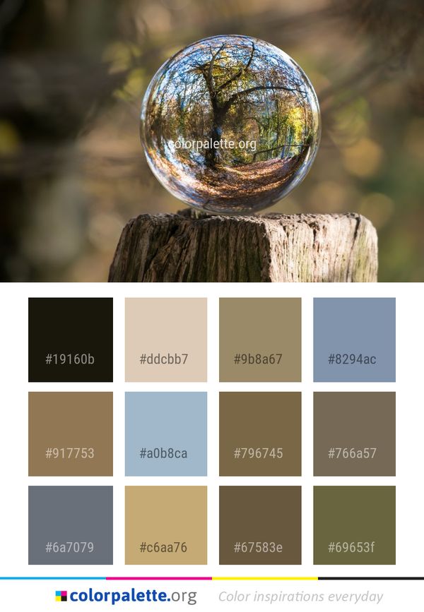 Reflection Sphere Close Up Color Palette