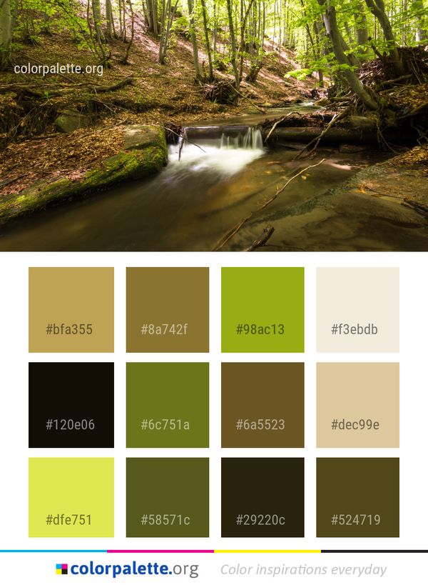 Water Stream Nature Color Palette