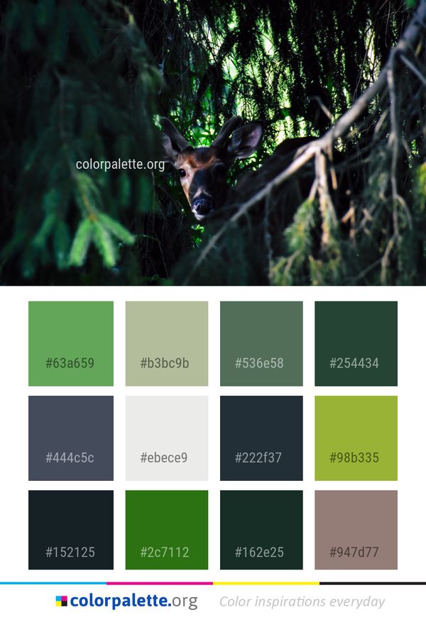 Wildlife Green Nature Color Palette