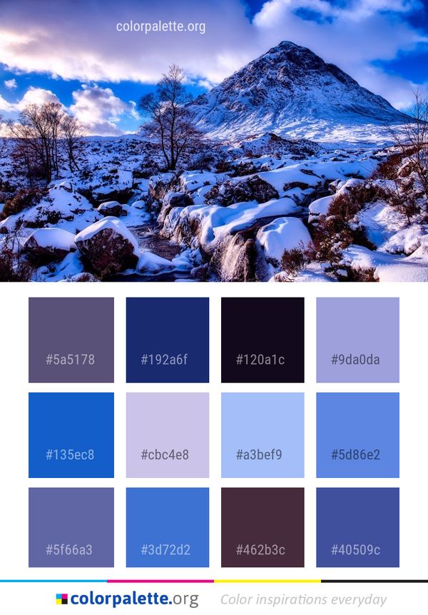 Winter Nature Snow Color Palette