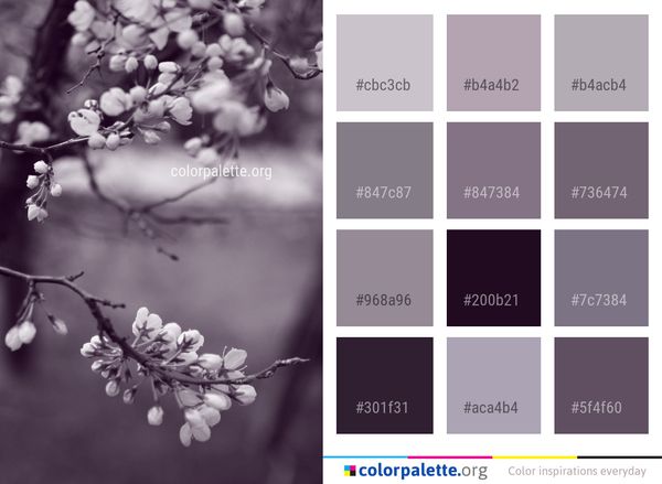 Blossom Black And White Branch Color Palette