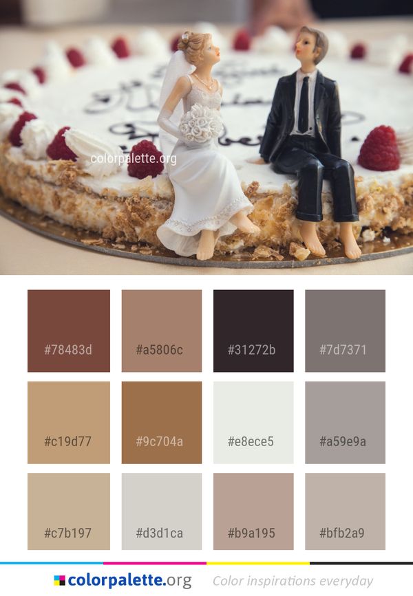 Dessert Torte Wedding Ceremony Supply Color Palette