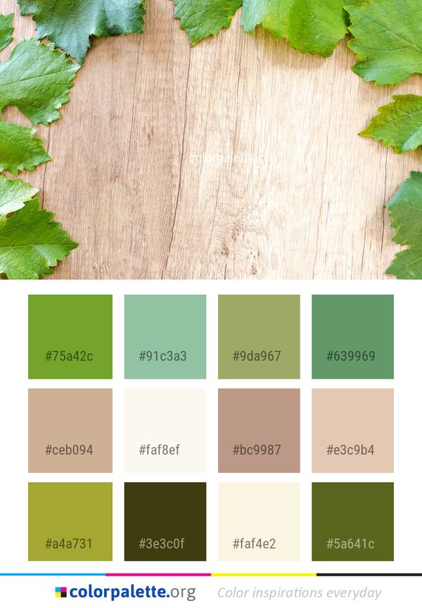 Leaf Green Grapevine Family Color Palette