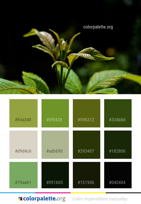 Leaf Vegetation Plant Color Palette