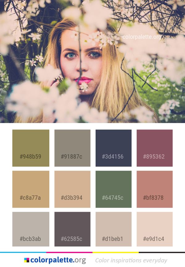 Photograph Nature Flower Color Palette