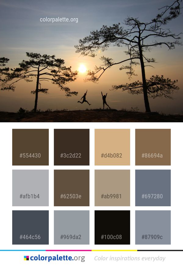 Sky Tree Sunrise Color Palette