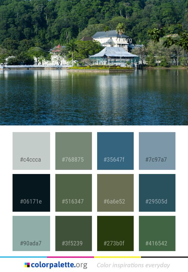 Water Nature Reflection Color Palette