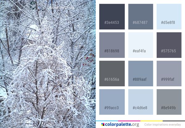 Winter Snow Branch Color Palette