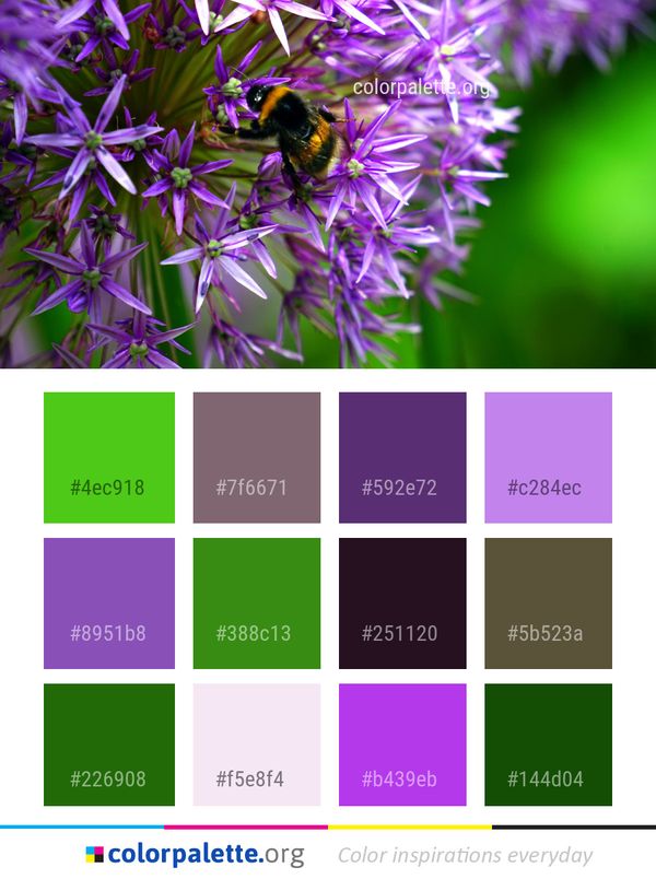Bee Flower Flora Color Palette