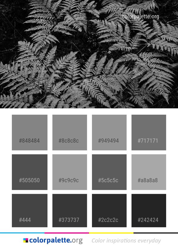 Black And White Monochrome Photography Plant Color Palette