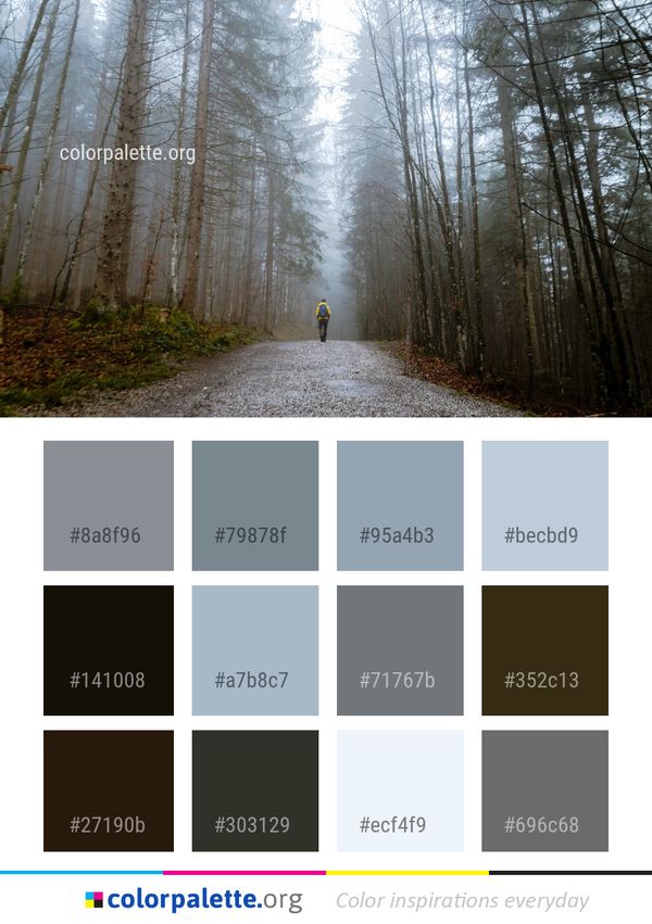 Path Forest Tree Color Palette