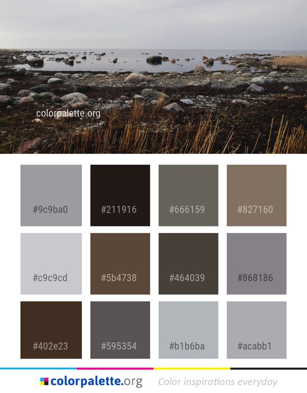 Shore Coast Tundra Color Palette