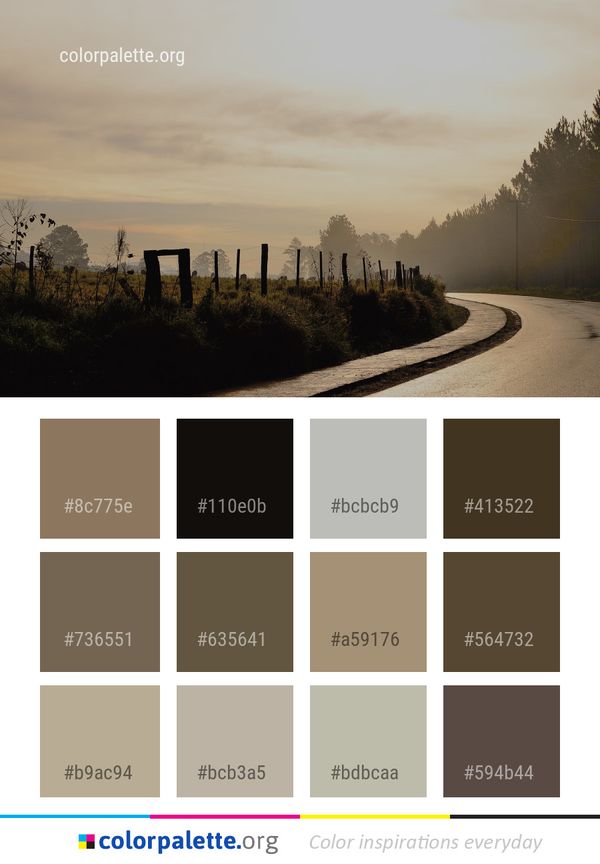 Sky Morning Tree Color Palette