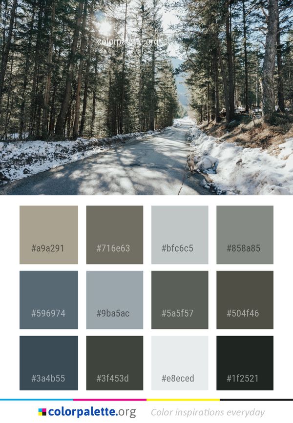 Snow Winter Nature Color Palette