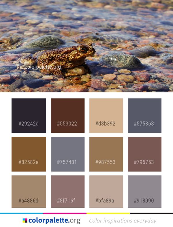 Fauna Water Rock Color Palette