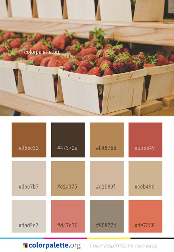 Natural Foods Strawberry Local Food Color Palette