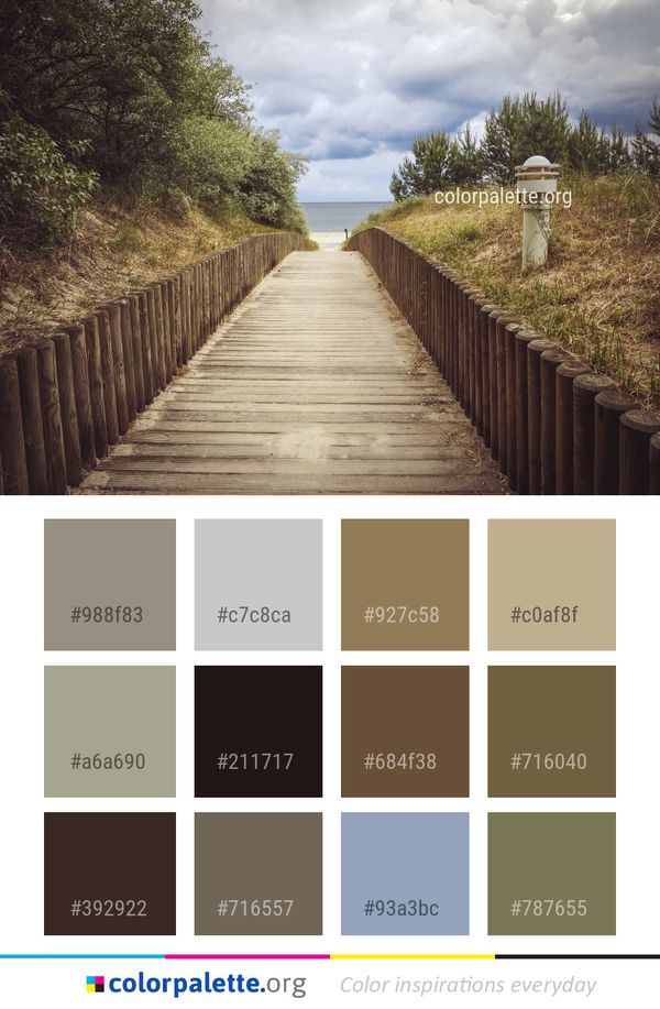 Sky Walkway Boardwalk Color Palette