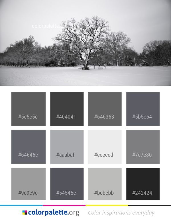 Snow Winter Tree Color Palette