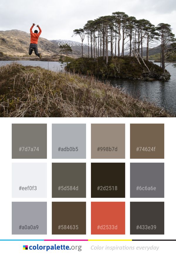 Tree Water Plant Color Palette