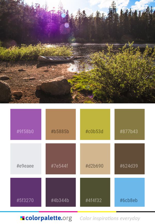 Water Nature Wilderness Color Palette