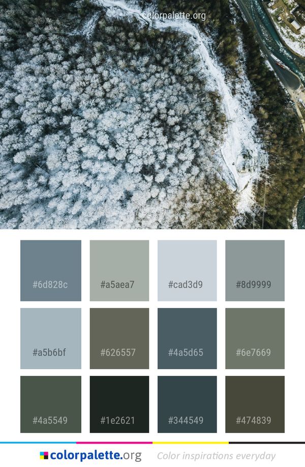 Water Winter Snow Color Palette