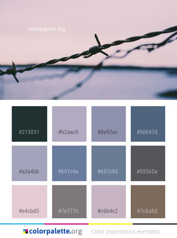 Wire Fencing Barbed Branch Color Palette