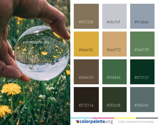 Yellow Grass Meadow Color Palette