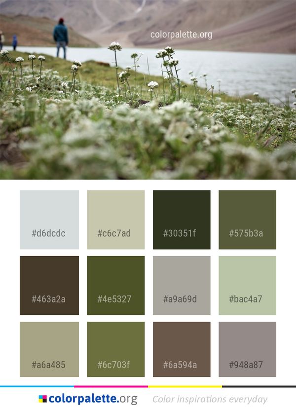 Flower Ecosystem Plant Color Palette