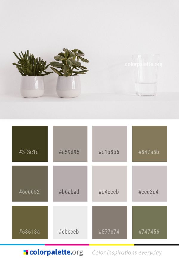 Flowerpot Plant Vase Color Palette