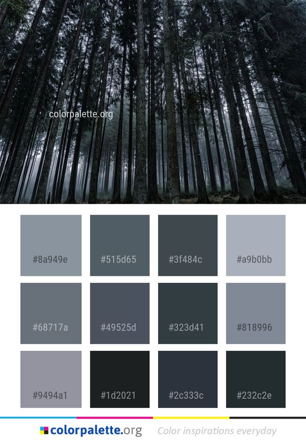 Forest Tree Nature Color Palette