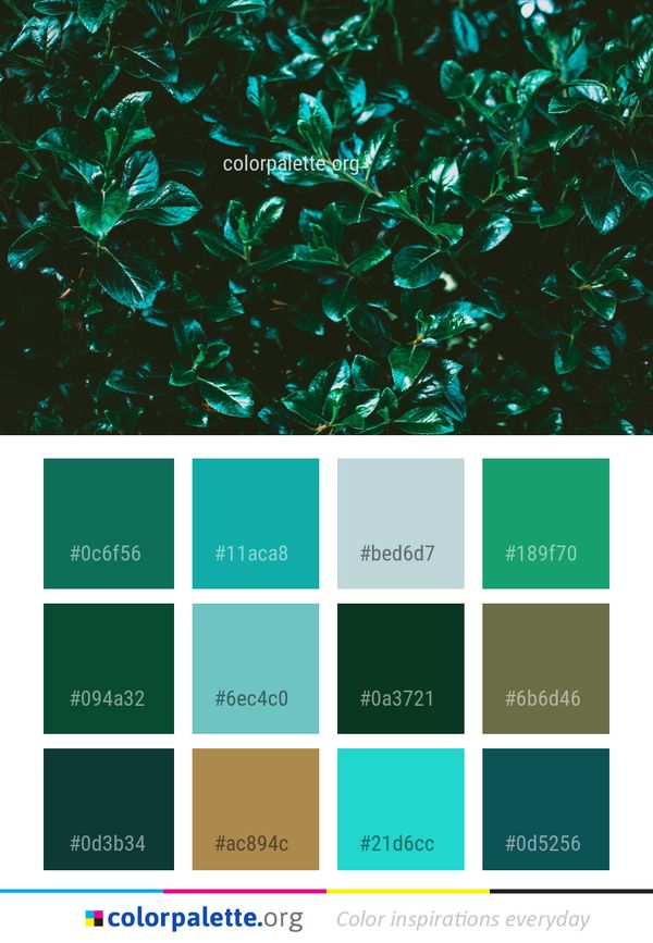 Green Leaf Branch Color Palette