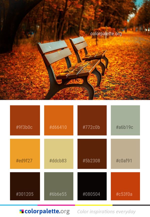 Nature Leaf Autumn Color Palette